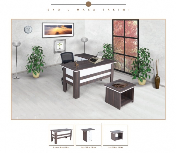 ECO L STUDY DESKS