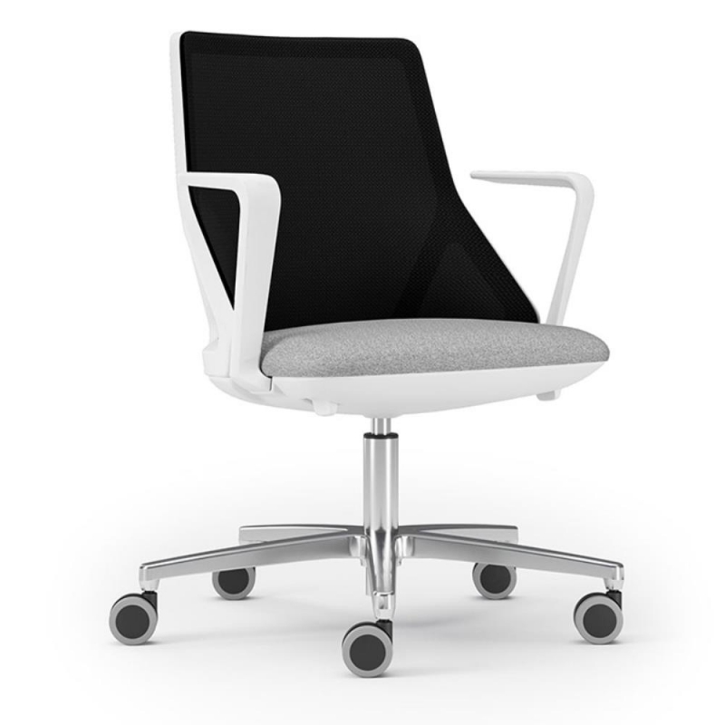 Study Chair