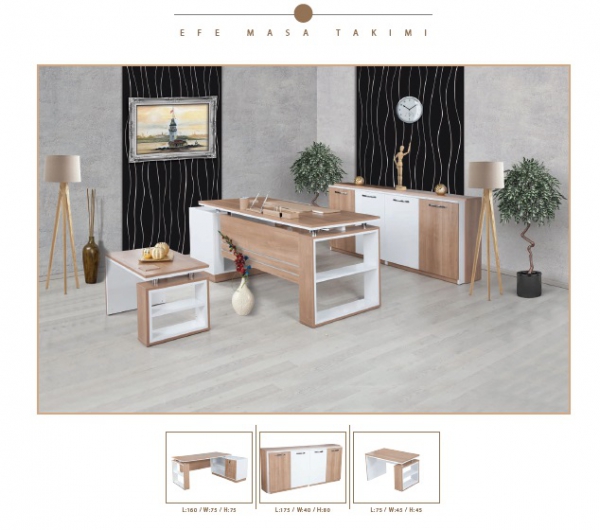 EFE STUDY DESK